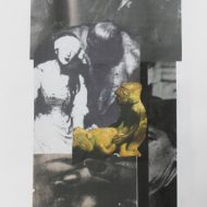 43 tumblr_ofrn1iuxc21ugduuko1_500